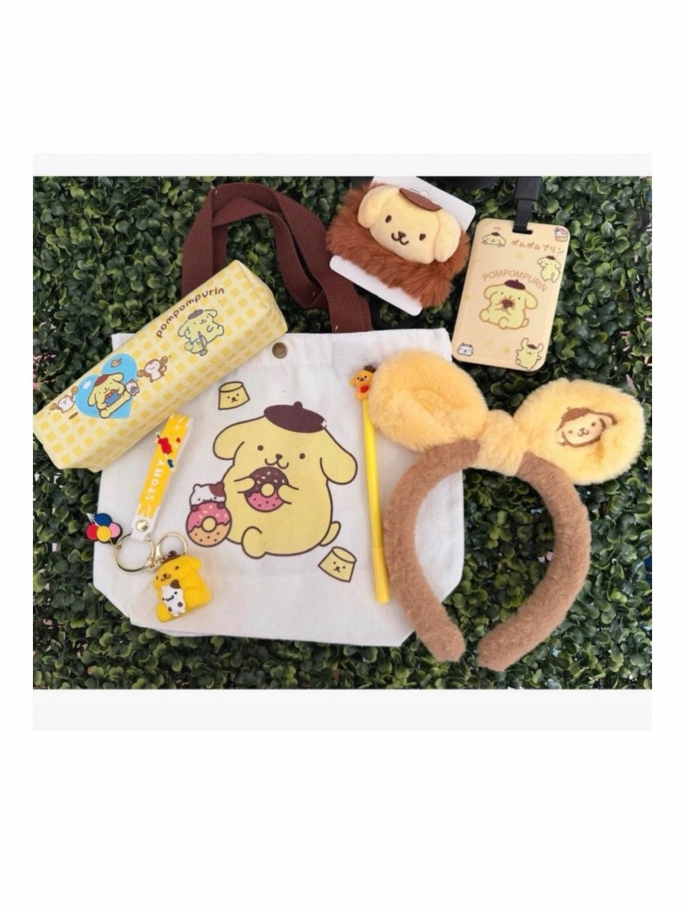 Sanrio Pompompurin Kids Bundle